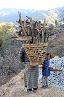 Carrying Wood in Bhutan